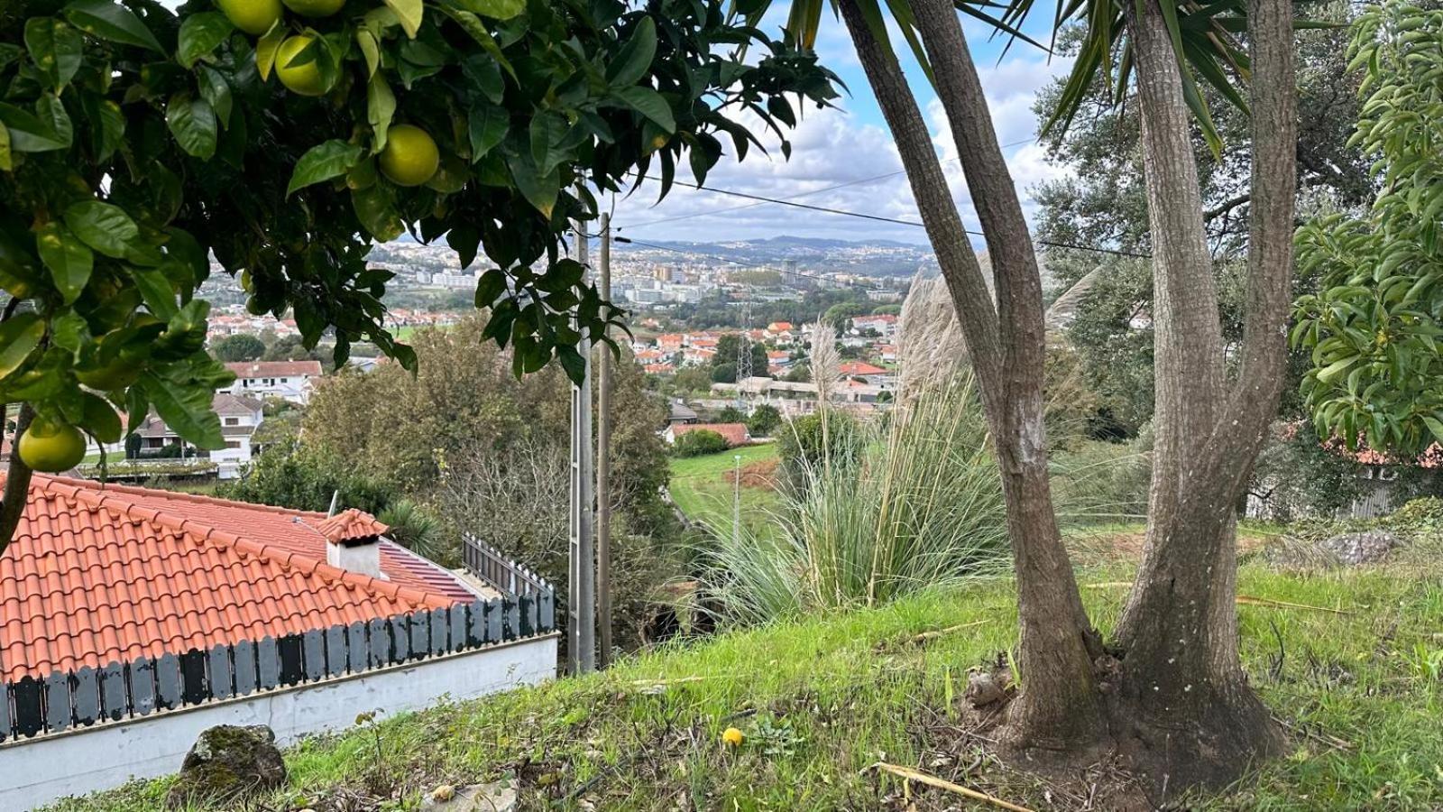 Cerca Do Casal Villa Santo Tirso Eksteriør bilde